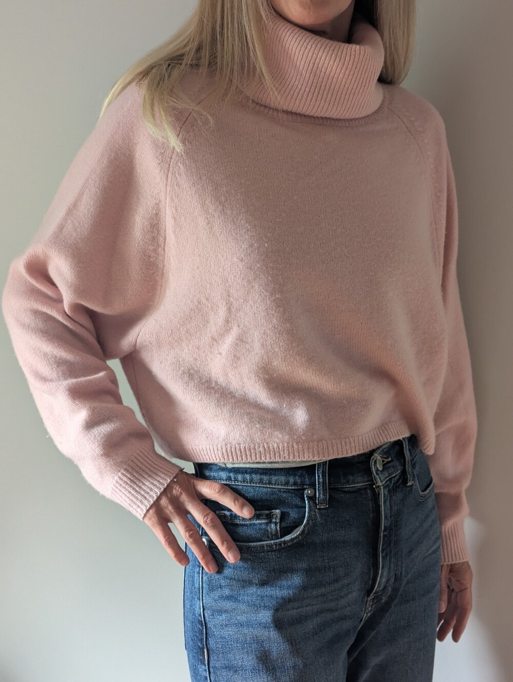 Aritzia Wilfred Light Rosey Pink Turtleneck Sweater